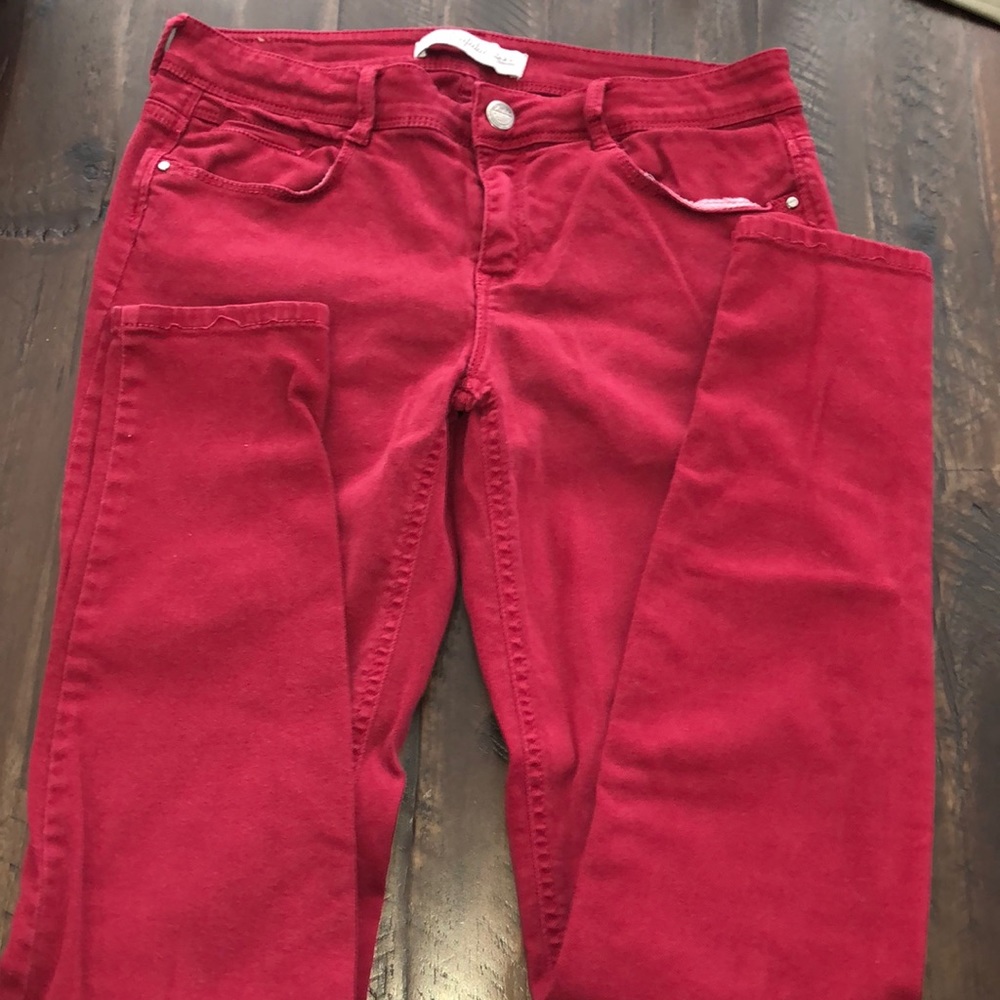 trafaluc collection zara pants